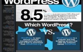 wp image1