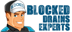 logo (2)