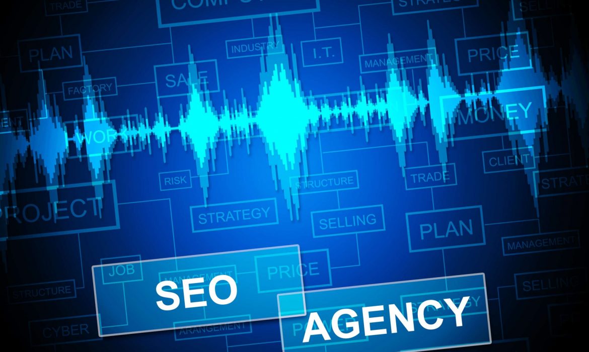 Questions To Ask an SEO Agency While Choosing One to Represent Your Business