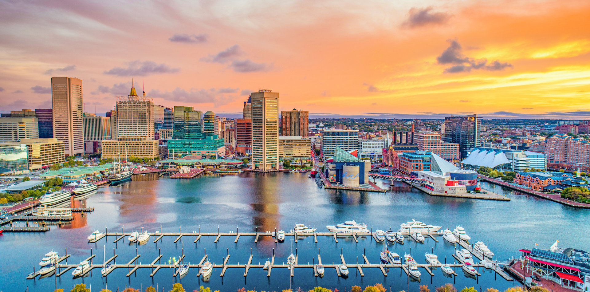 Leading Digital Marketing Baltimore Strategies for Sustainable Growth